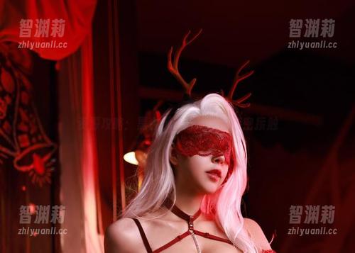 资源攻略：黑白御猫与夏天的亲密接触